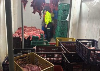 Capturan a 10 personas por presunta venta ilegal de carne de caballo en Bucaramanga