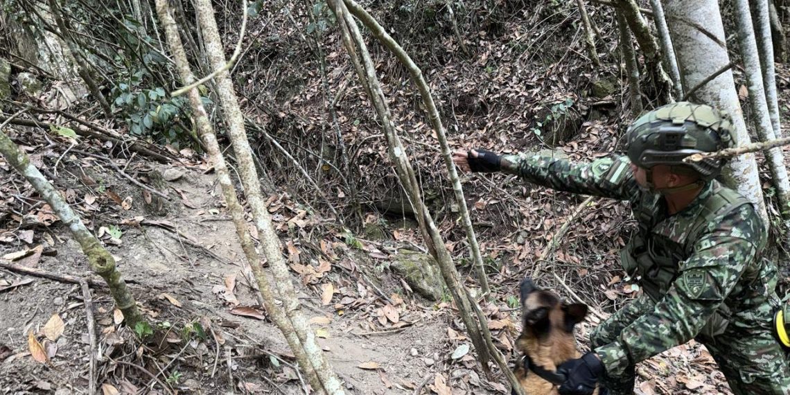 250 kilos de explosivo fueron encontrados cerca de una institución educativa en Charta