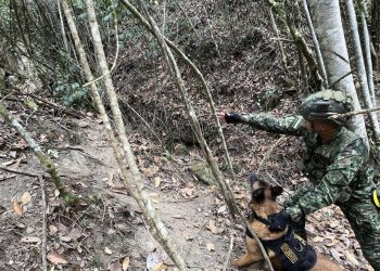 250 kilos de explosivo fueron encontrados cerca de una institución educativa en Charta