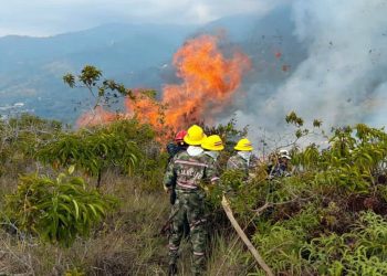 Incendio vuelve a presentar focos en el Páramo de Santurbán y mantiene la alerta en Tona