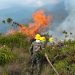 Incendio vuelve a presentar focos en el Páramo de Santurbán y mantiene la alerta en Tona