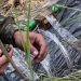 Ejército halló más de 100 kilos de explosivos en zona rural de Charta